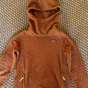 Patagonia Diamond Capra Fleece Hoodie